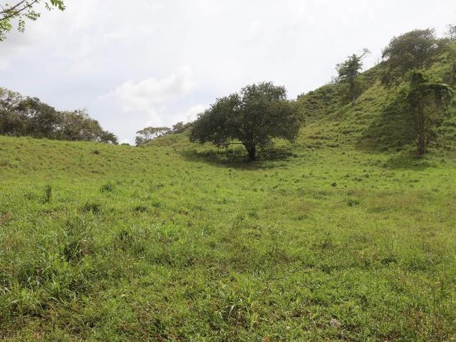 Terreno venta en Las Tablas, Bocas del Toro