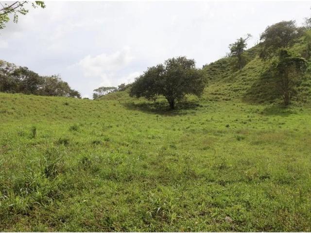 Terreno venta en Las Tablas, Los Santos
