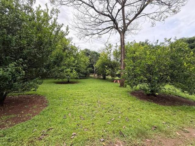 Venta de finca en Balita, Tinajas, Chiriquí
