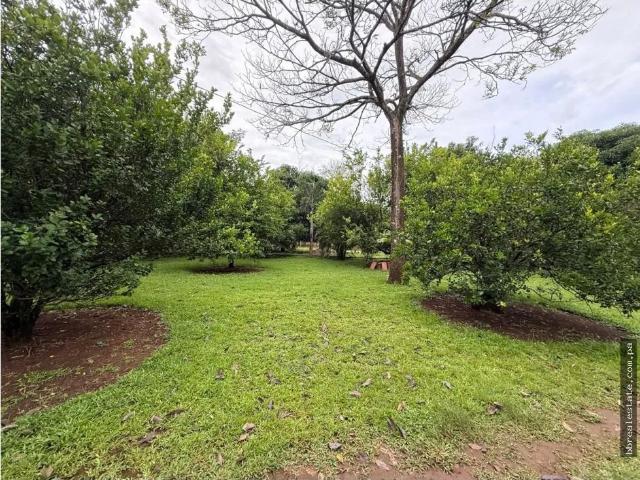 Terreno venta en Dolega
