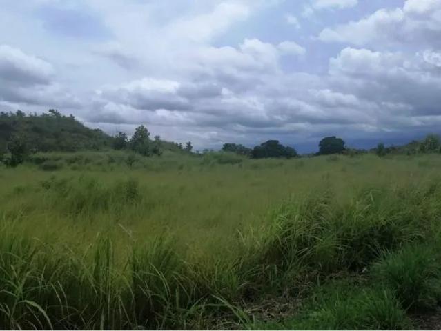 Terreno venta en Las Guías, Calobre