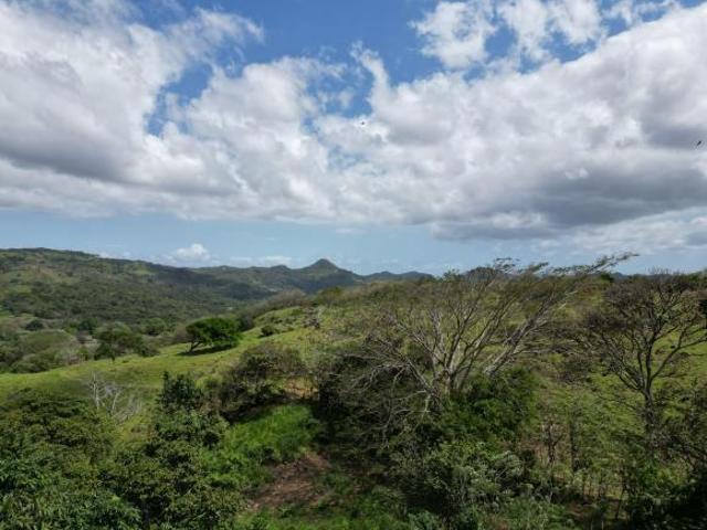 Venta de Finca en Campana, 300 Hectáreas