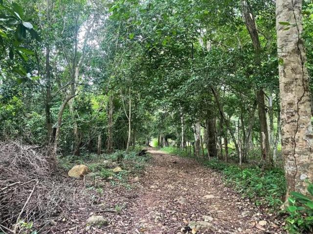 Venta de finca en Cermeño, Dolega
