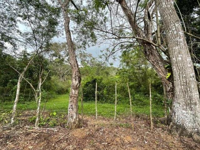 Venta de finca en Cermeño, Dolega