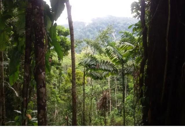 Terreno venta en Isla Colón, Bocas del Toro