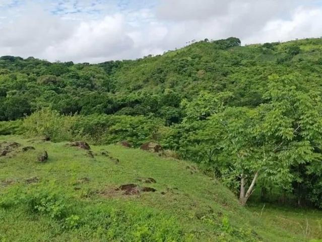 Terreno venta en Llano de Catival, Santiago
