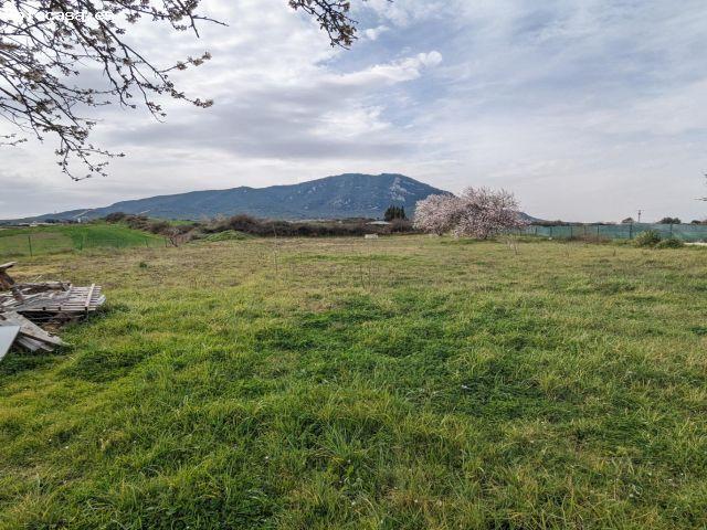 Local Comercial en venta en Estellerria, Navarra