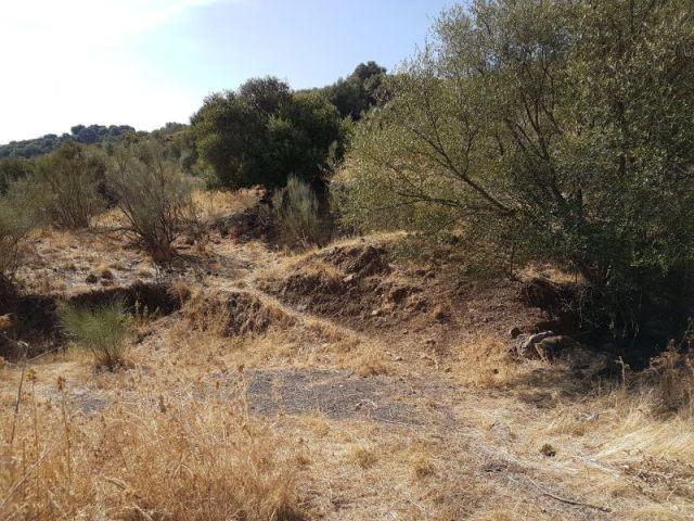Local Comercial en venta en Sierra de Cádiz, Andalucía