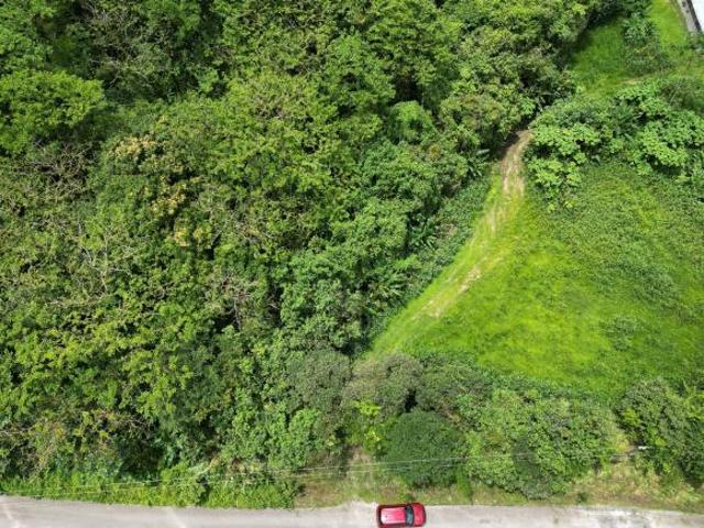 Venta de Finca en La Mesa, El Valle de Antón, 31 Hectáreas