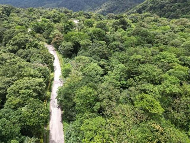 Venta de Finca en La Mesa, El Valle de Antón, 31 Hectáreas