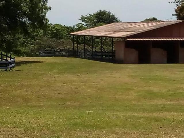 Venta de Finca en las Uvas Valle de Anton