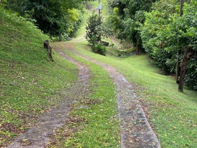 Venta de Finca en las Uvas Valle de Anton