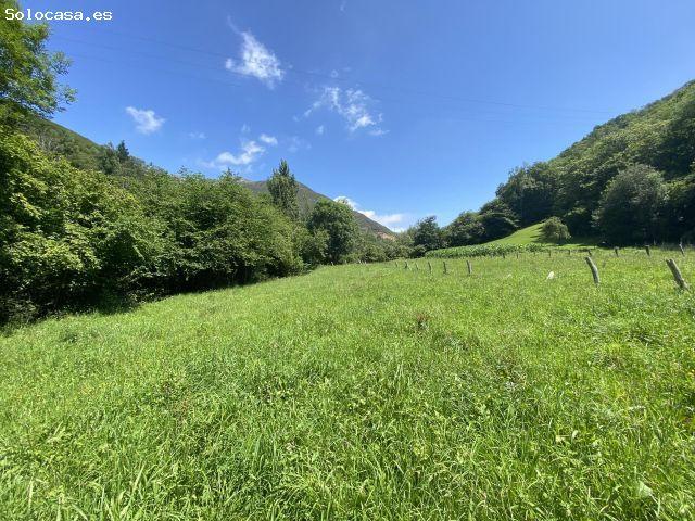 Local Comercial en venta en Cangas De Onís, Asturias