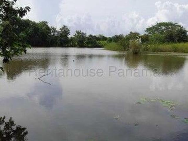 Venta de finca en Pacora