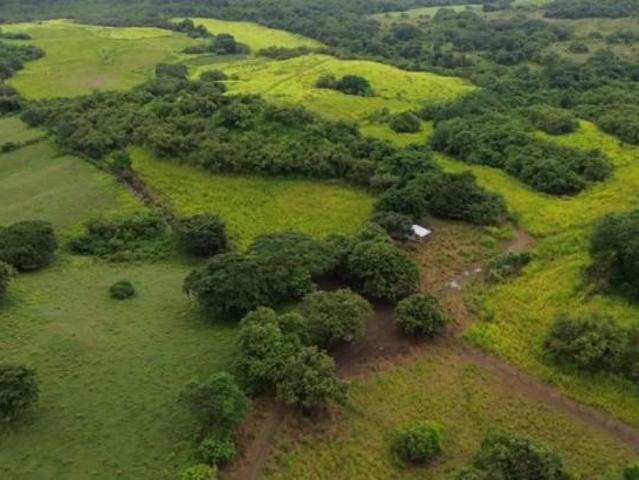 Terreno venta en Las Tablas, Bocas del Toro