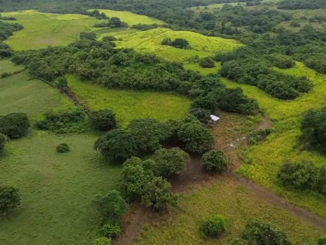 Terreno venta en Las Tablas, Bocas del Toro