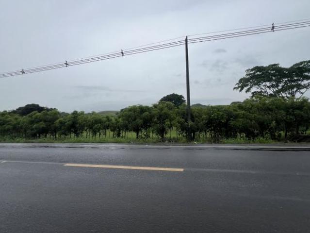 Venta de finca en río salado, los santos