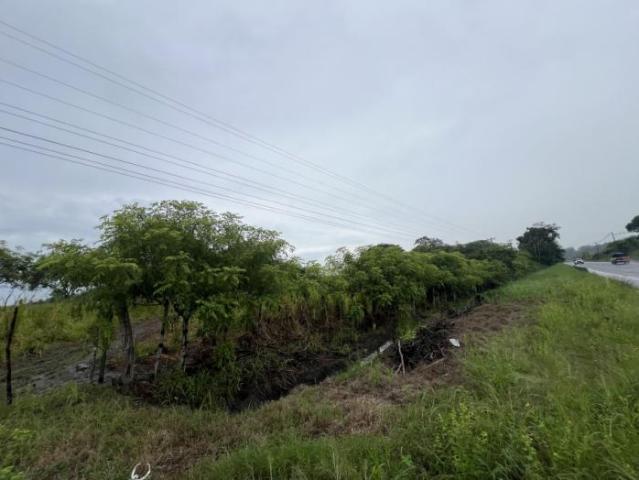 Venta de finca en río salado, los santos