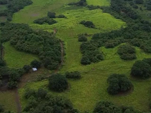 Terreno venta en Las Tablas, Bocas del Toro