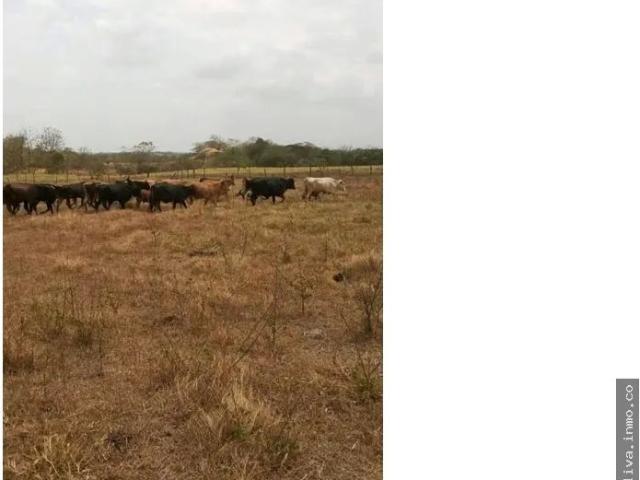 Terreno venta en Chepo, Panamá