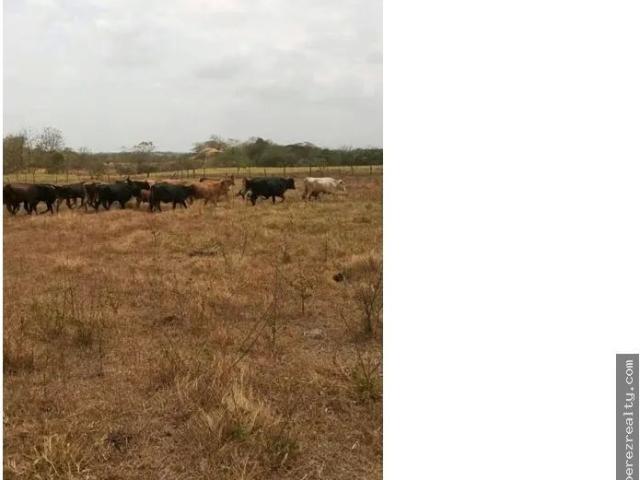 Terreno venta en Chepo, Panamá