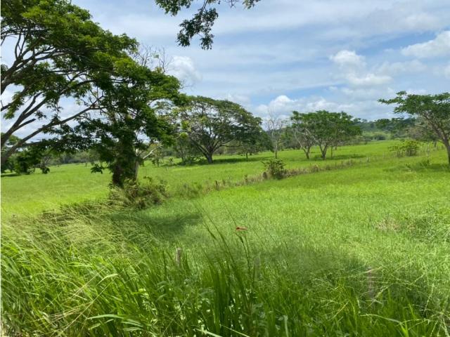 Finca en venta en Santa Ana De Coro, Falcón