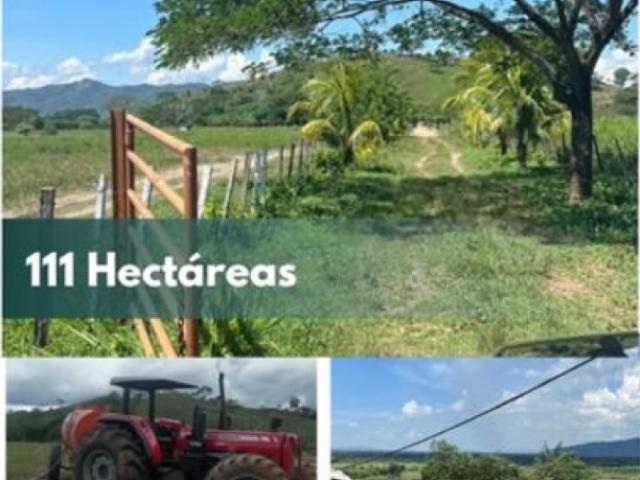 Finca en venta en San Felipe, Yaracuy