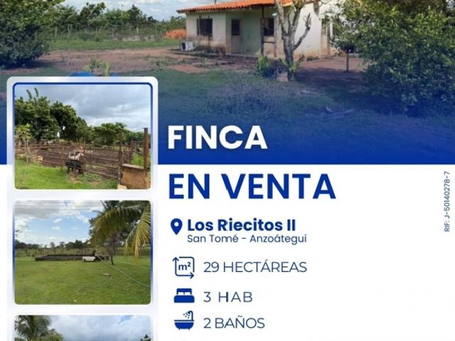Finca en venta en El Tigrito, Lara