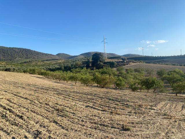Terreno en venta en Comarca de la Vega de Granada, Andalucía