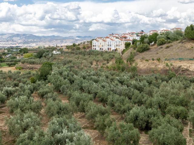 Terreno en venta en Comarca de la Vega de Granada, Andalucía