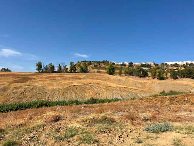 Terreno en venta en Carmona, Andalucía