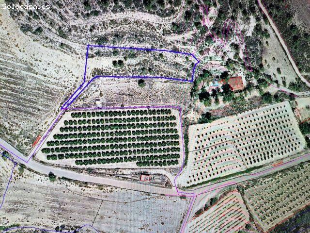 Local Comercial en venta en Urbanización El Alto del Royo, La Hoya de Buñol