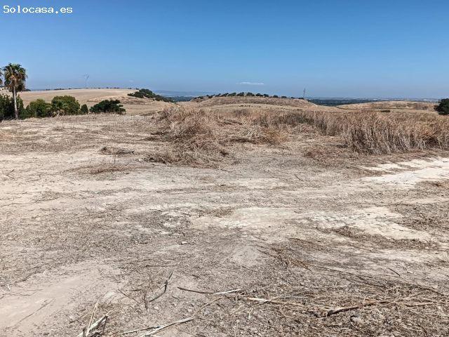 Local Comercial en venta en Castilleja De Guzmán, Andalucía