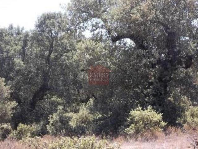 Casa Rural en venta en Parada De Arriba, Castilla y León