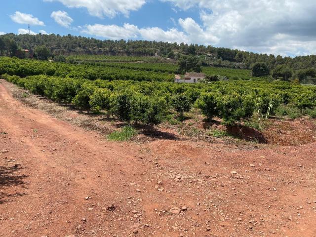 Terreno en venta en el Camp de Morvedre, Valencia