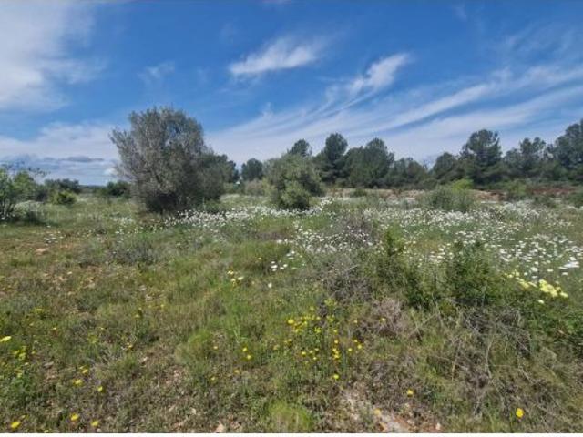 Local Comercial en venta en Alt Camp, Catalunya