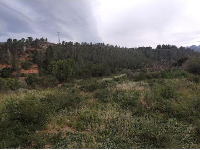 Local Comercial en venta en Baix Ebre, Catalunya