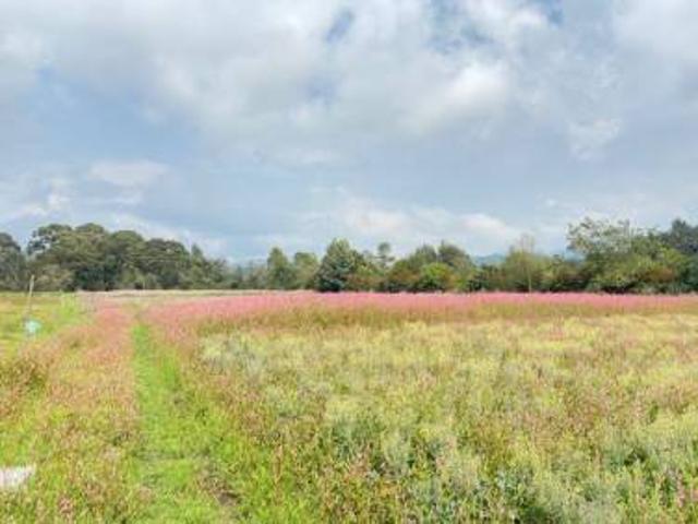 Finca en arriendo en Facatativá
