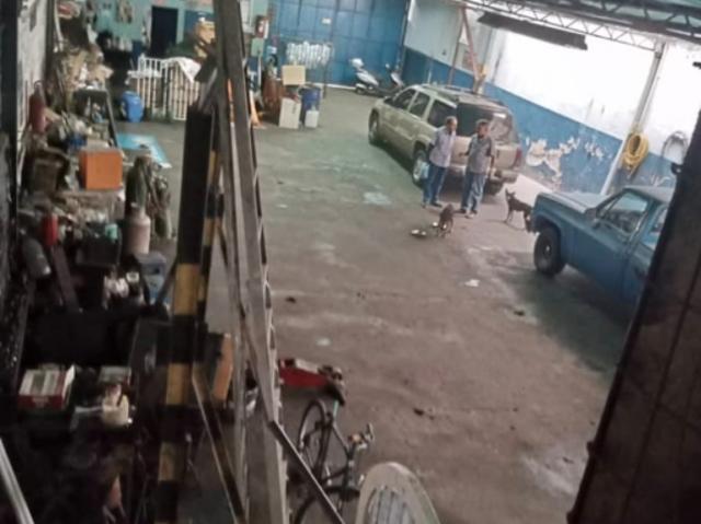 Galpón en venta en Miranda, Carabobo