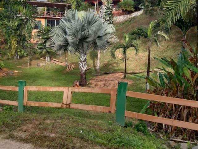 VENTA DE HACIENDA EN ARENAS DE LAS PALMAS SANTIAGO DE VERAGUAS