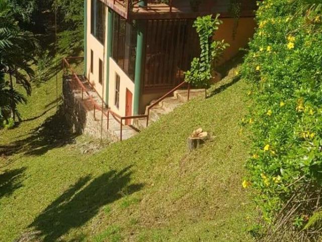 VENTA DE HACIENDA EN ARENAS DE LAS PALMAS SANTIAGO DE VERAGUAS