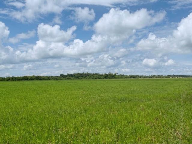 Terreno en venta en Vicario II, Calabozo