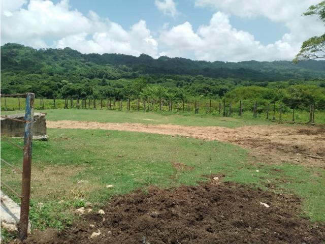 Finca en venta en Falcón