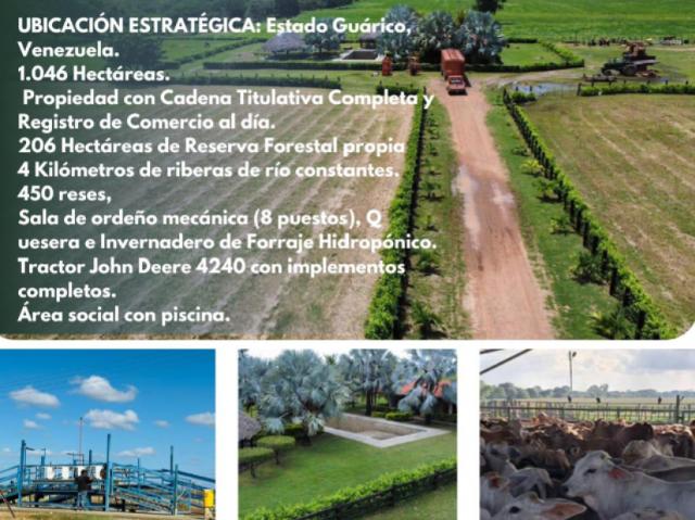 Finca en venta en Altagracia De Orituco, Guárico