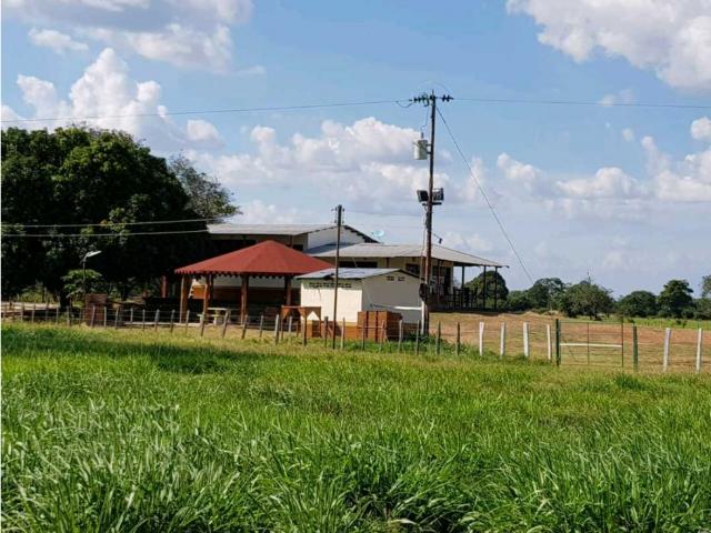 Finca en venta en El Baúl, Cojedes