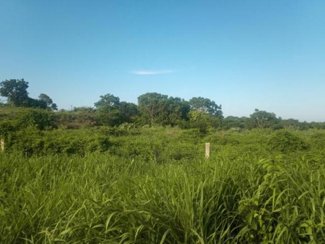 Terreno en venta en La Antigua, Chicontepec