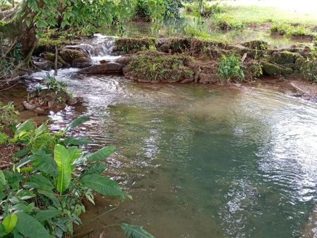 Venta de Hermoso Rancho de 93 hectáreas orilla carretera Cháncala Benemérito