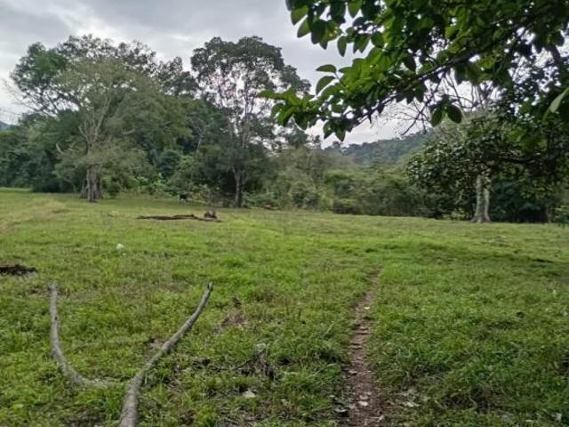 Venta de Hermoso Rancho de 93 hectáreas orilla carretera Cháncala Benemérito