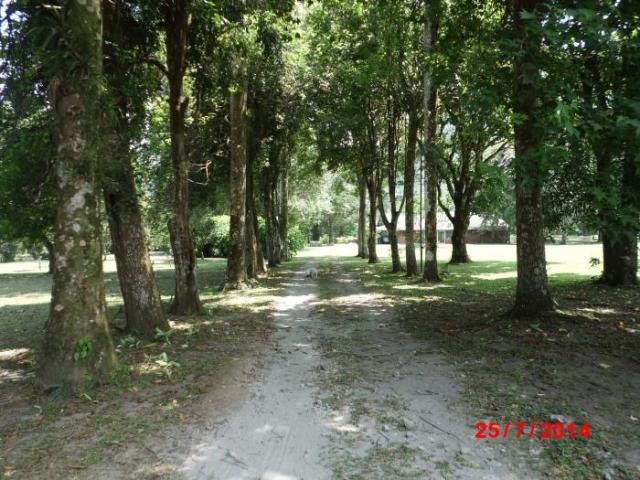 Venta de la finca valle anton