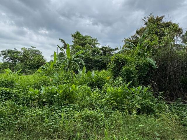 Terreno en venta en San Juan Bautista Tuxtepec, Oaxaca